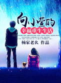 《向小萱的幸福重生生活》封面
