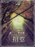 《招惹》封面