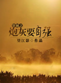 《穿越之炮灰在九零年代》封面