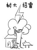 《树大招雷》封面