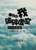 《一定是我破碎虚空的方式不对》封面