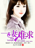 《一妻难求（作者：左手天涯）》封面