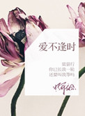 《爱不逢时》封面