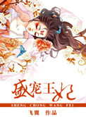《盛宠王妃》封面