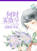 《何时雾散尽》封面