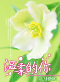 《温柔的你》封面