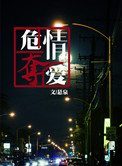 《危情夺爱》封面