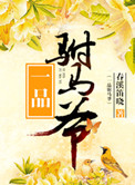 《一品驸马爷》封面