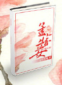 《孟家妾》封面