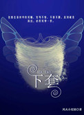 《下套》封面