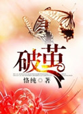 《破茧》封面