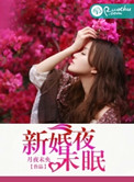 《新婚夜未眠》封面