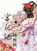《宫妃记》封面