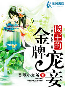 《傻王的金牌宠妾》封面