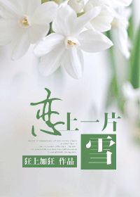 《恋上一片雪（脱与逃）》封面