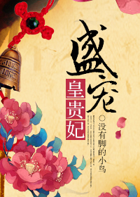 《盛宠皇贵妃》封面