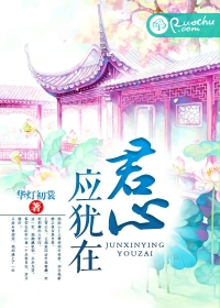 《君心应犹在》封面