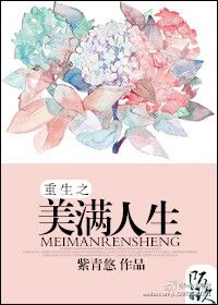 《穿越之美满人生》封面