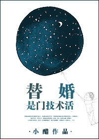 《替婚是门技术活》封面