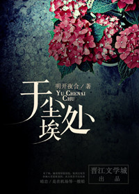 《于尘埃处》封面