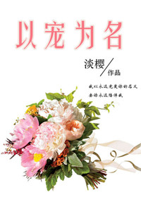 《以宠为名》封面