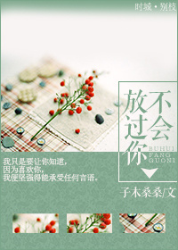 《不会放过你》封面