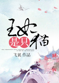 《王妃是只猫》封面
