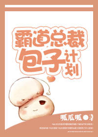《霸道总裁包子计划》封面