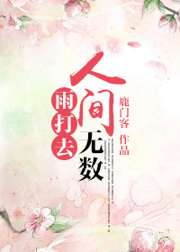 《人间无数雨打去》封面