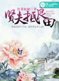 《贤夫抵良田》封面