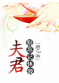 《夫君，别忘记休我》封面