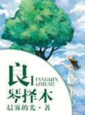 《良琴择木》封面