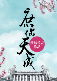 《庶偶天成》封面