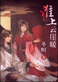 《淮上云崖暖》封面