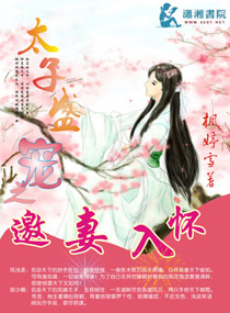 《太子盛宠之邀妻入怀》封面