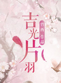 《吉光片羽》封面