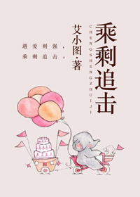 《乘剩追击》封面