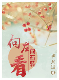 《向左看，向右转》封面