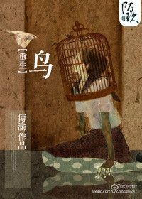 《重生之鸟》封面
