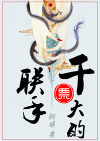 《联手干票大的》封面