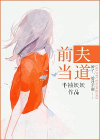 《前夫当道》封面