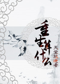 《重生算什么》封面