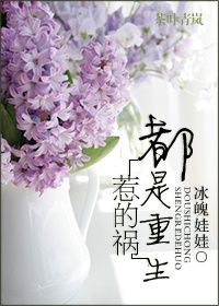 《都是重生惹的祸》封面