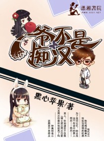 《爷不是痴汉》封面