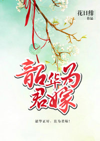 《韶华为君嫁》封面