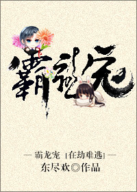 《霸龙宠》封面