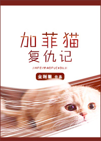 《加菲猫复仇记》封面
