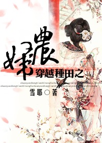 《穿越种田之农妇》封面