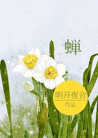 《蝉》封面