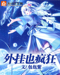 《外挂也疯狂》封面